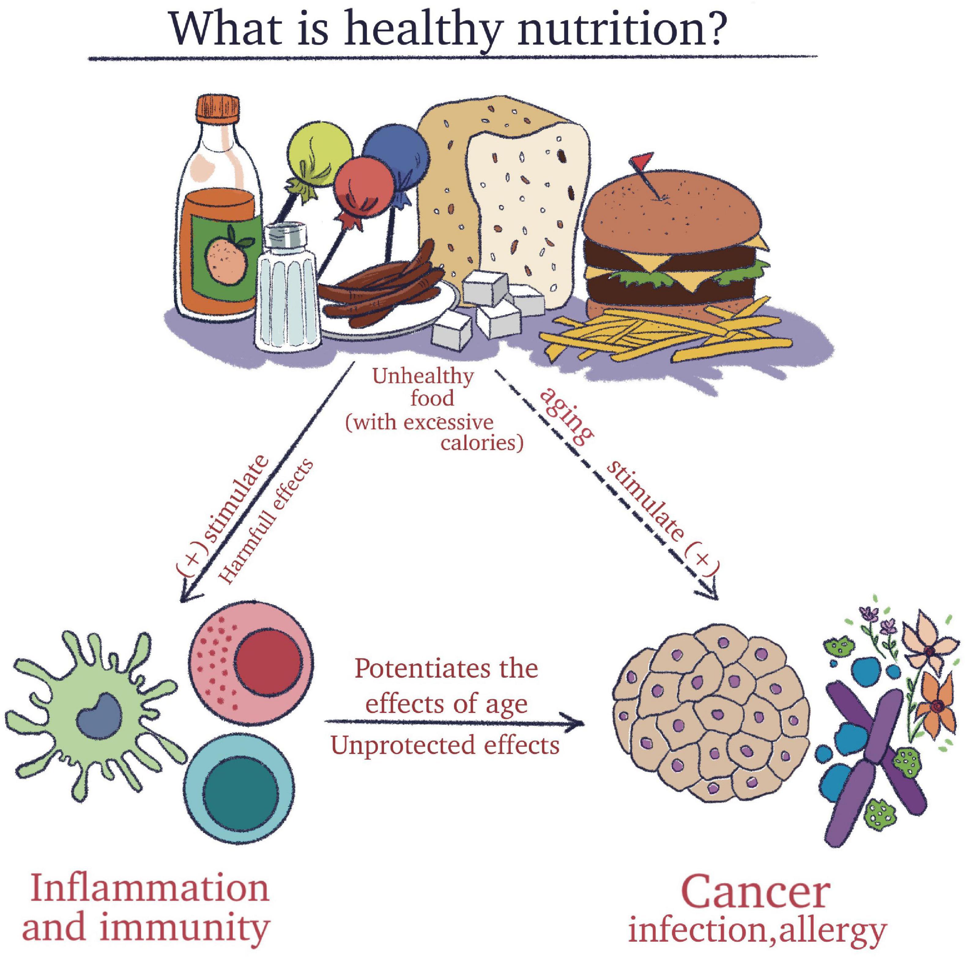 Frontiers The Relationship Between Nutrition And The Immune System