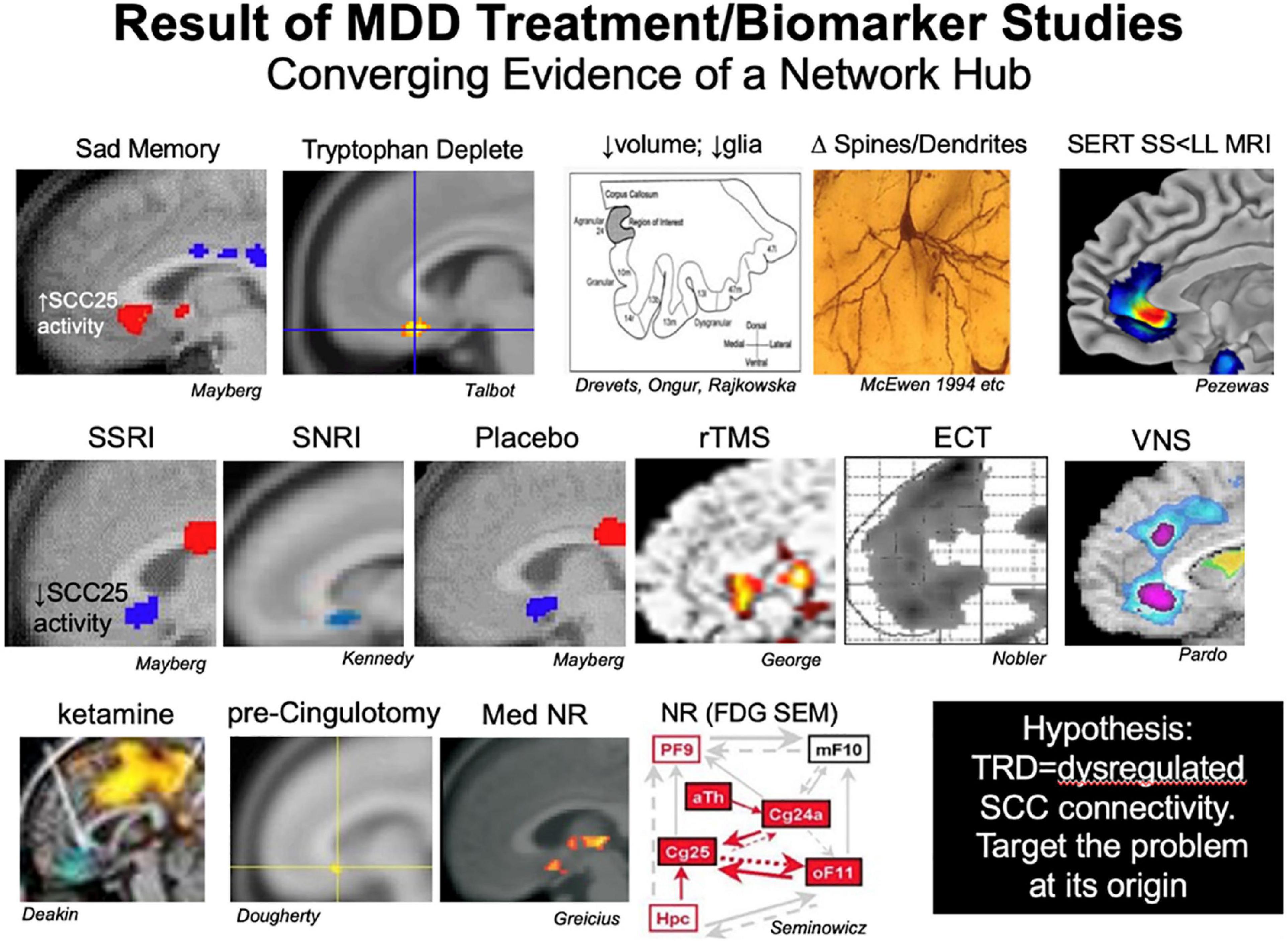 Frontiers | Proceedings Of The 10th Annual Deep Brain Stimulation Think ...