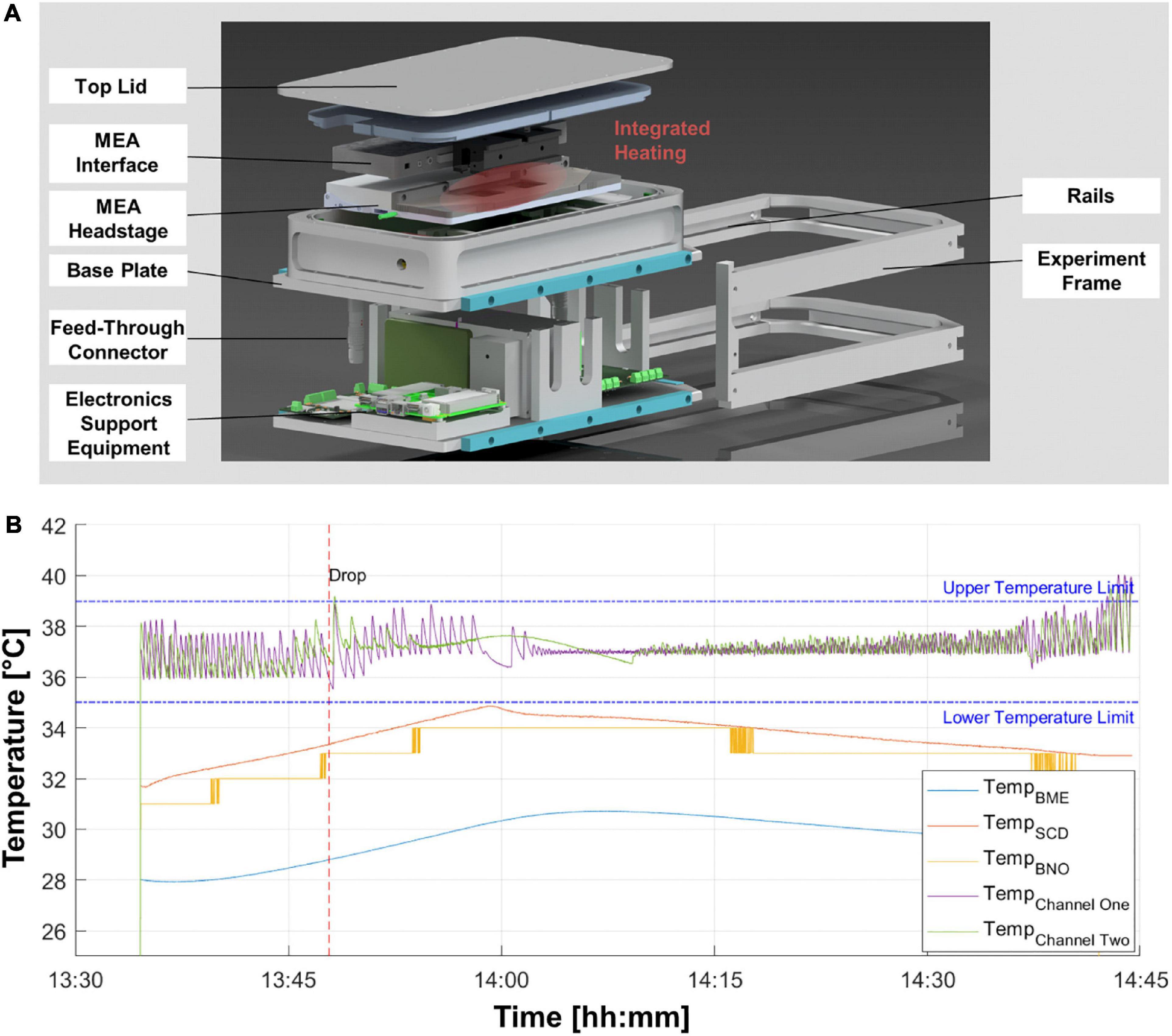 Neuronal baseline shifts underlying boundary setting during free recall