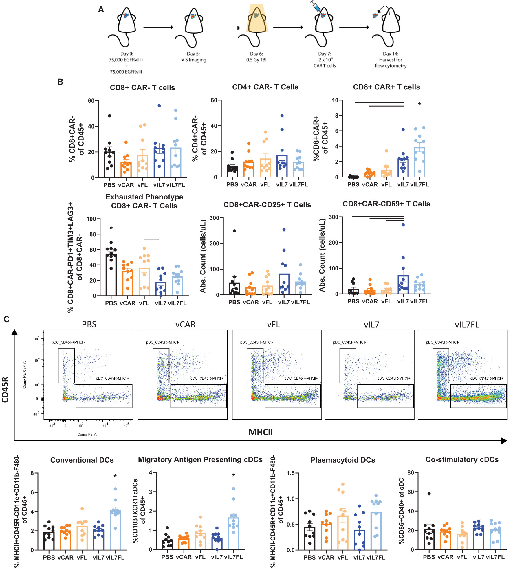 Frontiers | IL7 and IL7 Flt3L co-expressing CAR T cells improve 