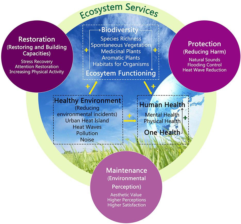 hypothesis of ecosystem and health