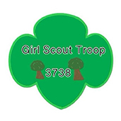 Girl Scout Troop 3738