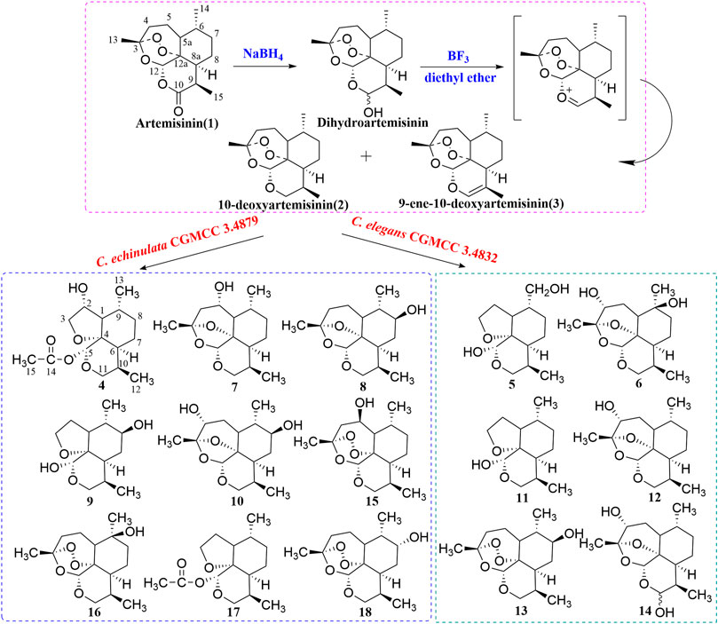 A Concise Synthesis of (+)-Artemisinin  Journal of the American Chemical  Society