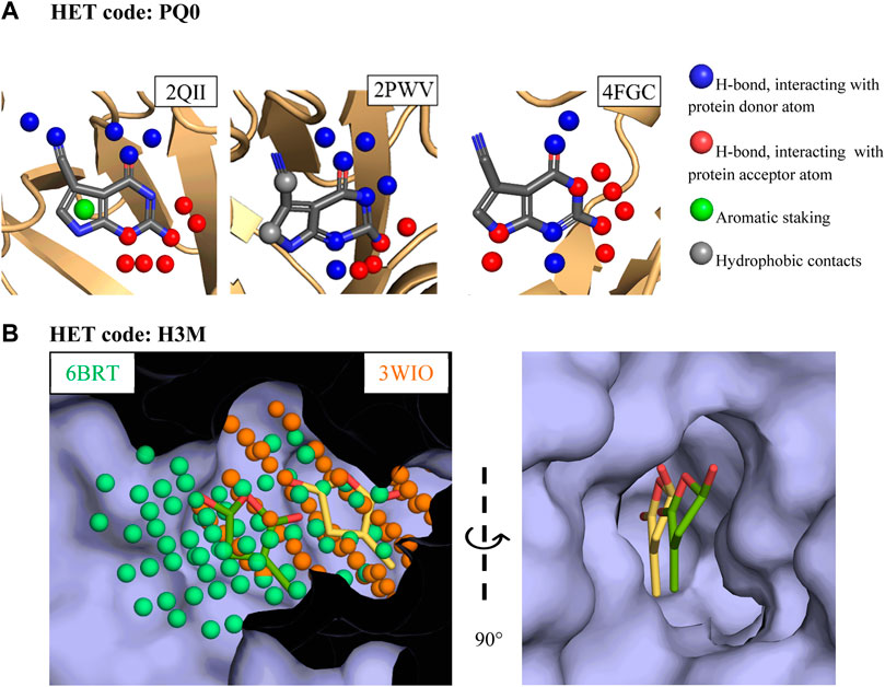 Polypharmacology by Design: A Medicinal Chemist's Perspective on  Multitargeting Compounds