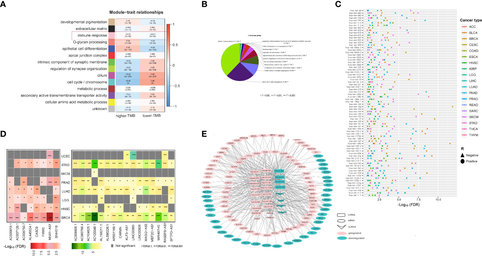 Frontiers | Identification Of Tumor Mutation Burden-associated ...