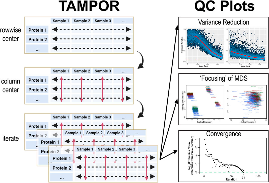 Tunable Single-Cell Extraction for Molecular Analyses: Cell