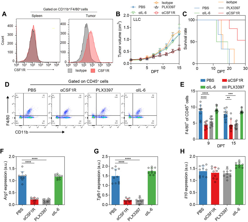 Frontiers | Pexidartinib Synergize PD-1 Antibody Through Inhibiting ...