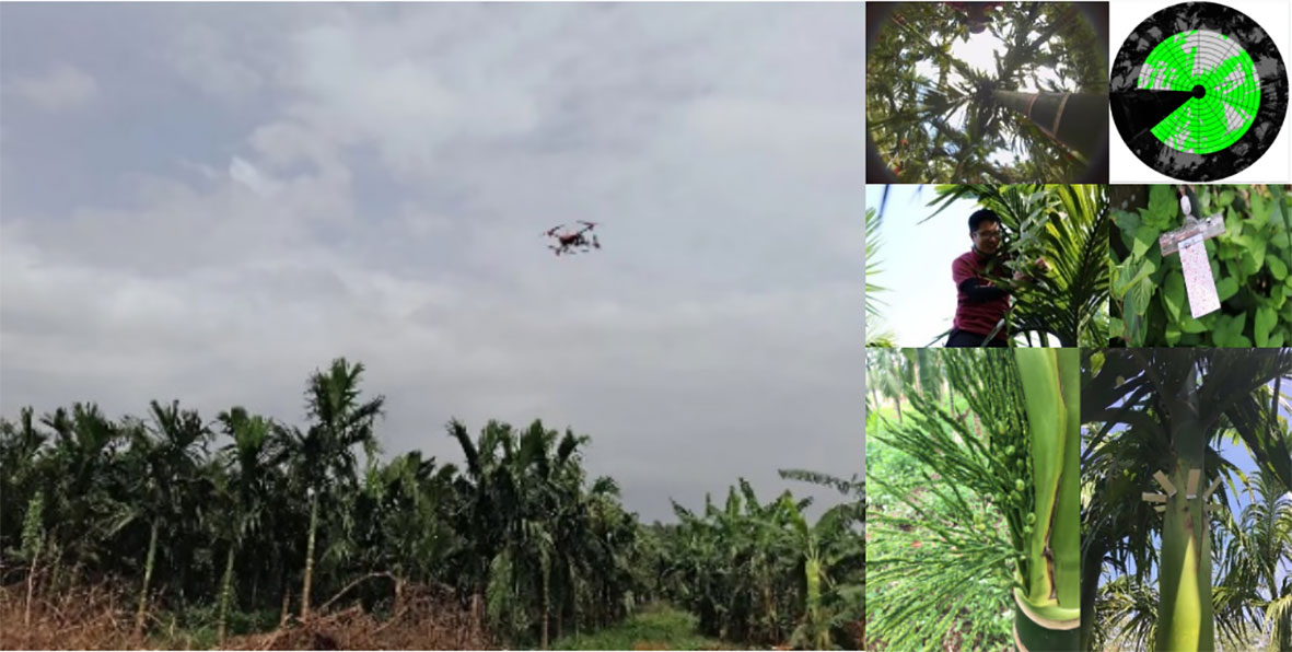 Evaluation of aerial drift during drone spraying of an artificial