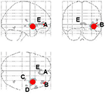 Frontiers | Neural and sympathetic activity associated with exploration ...