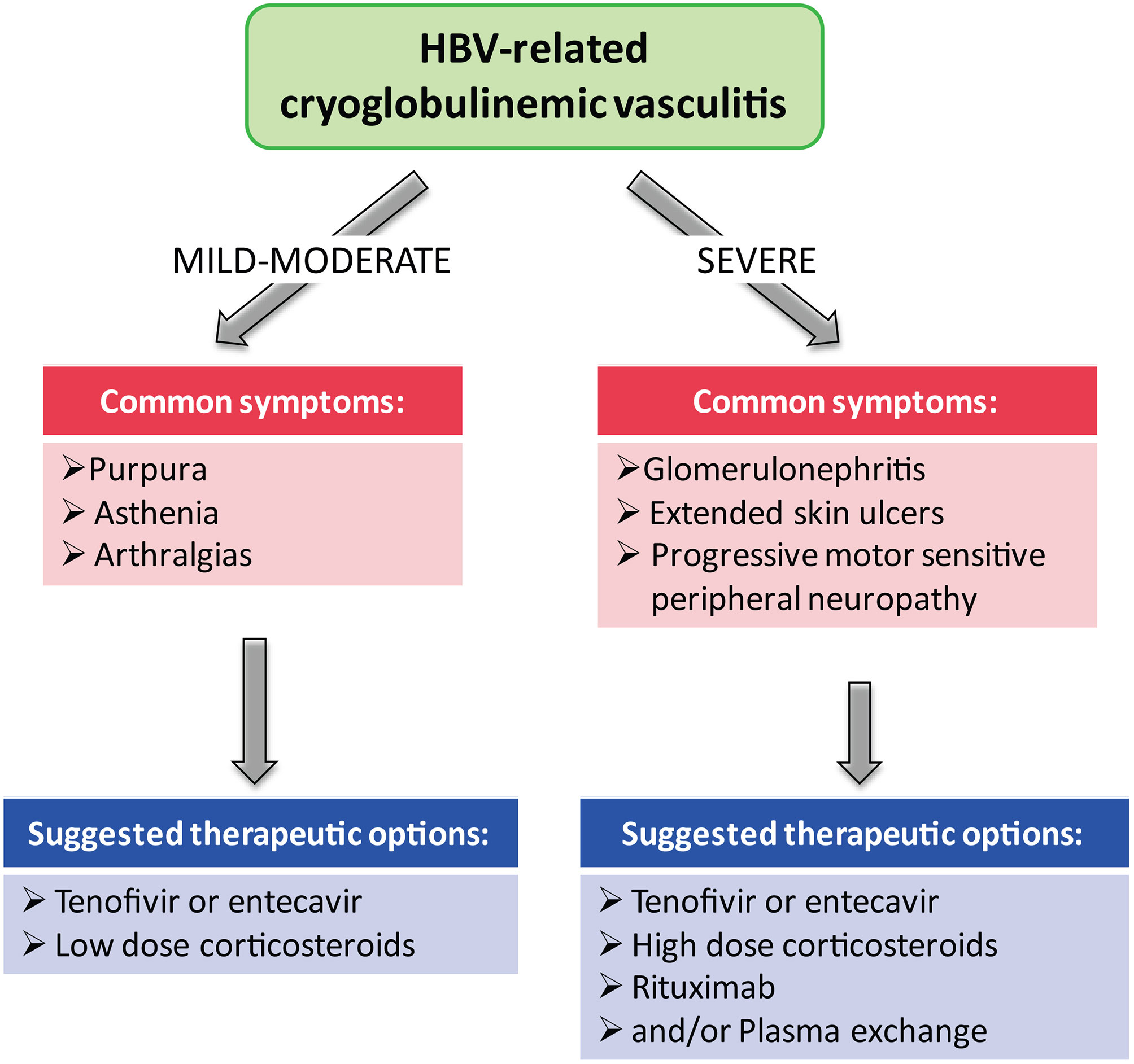 literature review on hepatitis b and c
