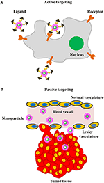 Frontiers | Nanoparticle-facilitated functional and molecular imaging ...