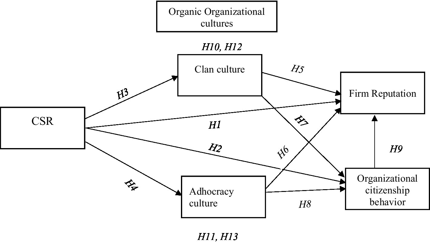 1421px x 804px - Frontiers | The impact of corporate social responsibility on firm  reputation and organizational citizenship behavior: The mediation of  organic organizational cultures