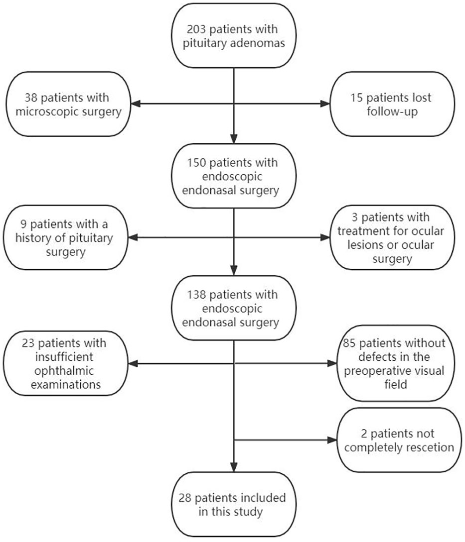 Frontiers  Outcome of giant pituitary tumors requiring surgery