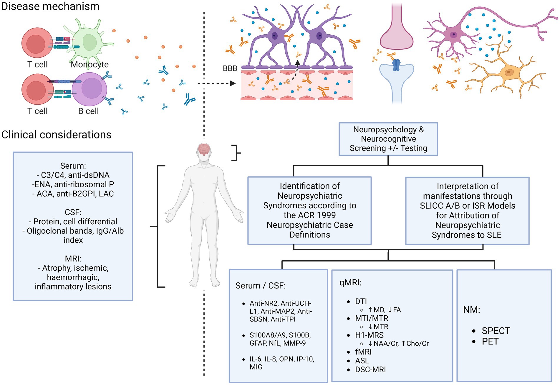 Frontiers | The Conundrum Of Neuropsychiatric Systemic Lupus ...