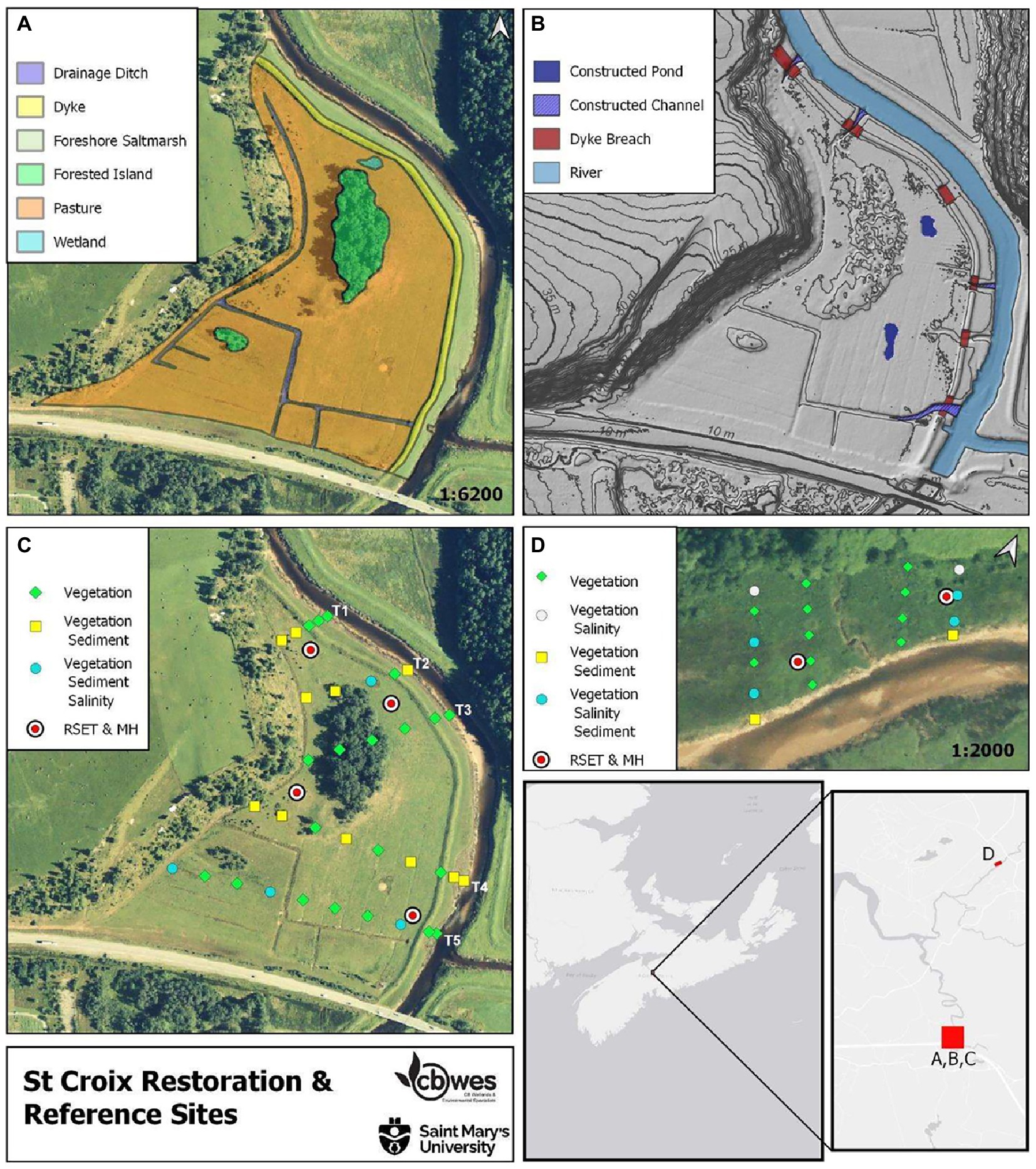 Increasing Salt Marsh Elevation Using Sediment Augmentation: Critical  Insights from Surface Sediments and Sediment Cores
