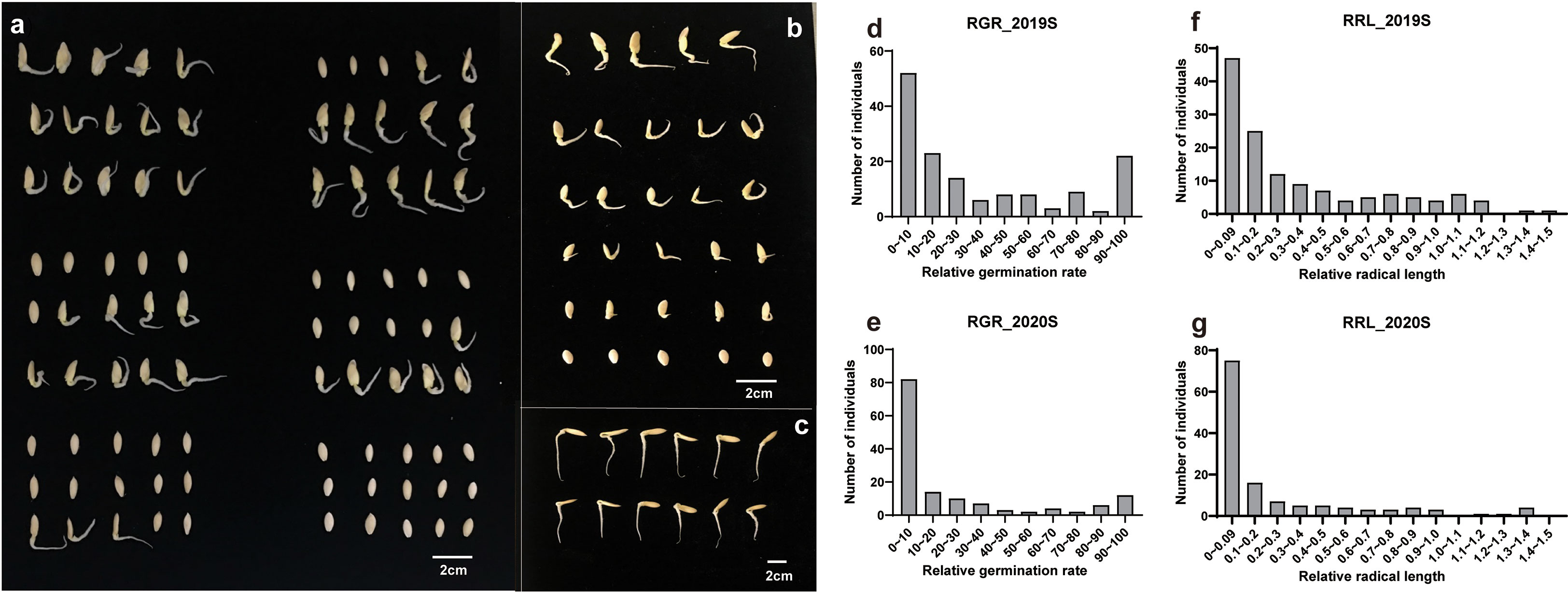 Frontiers Gwas Reveals Novel Loci And Identifies A Pentatricopeptide