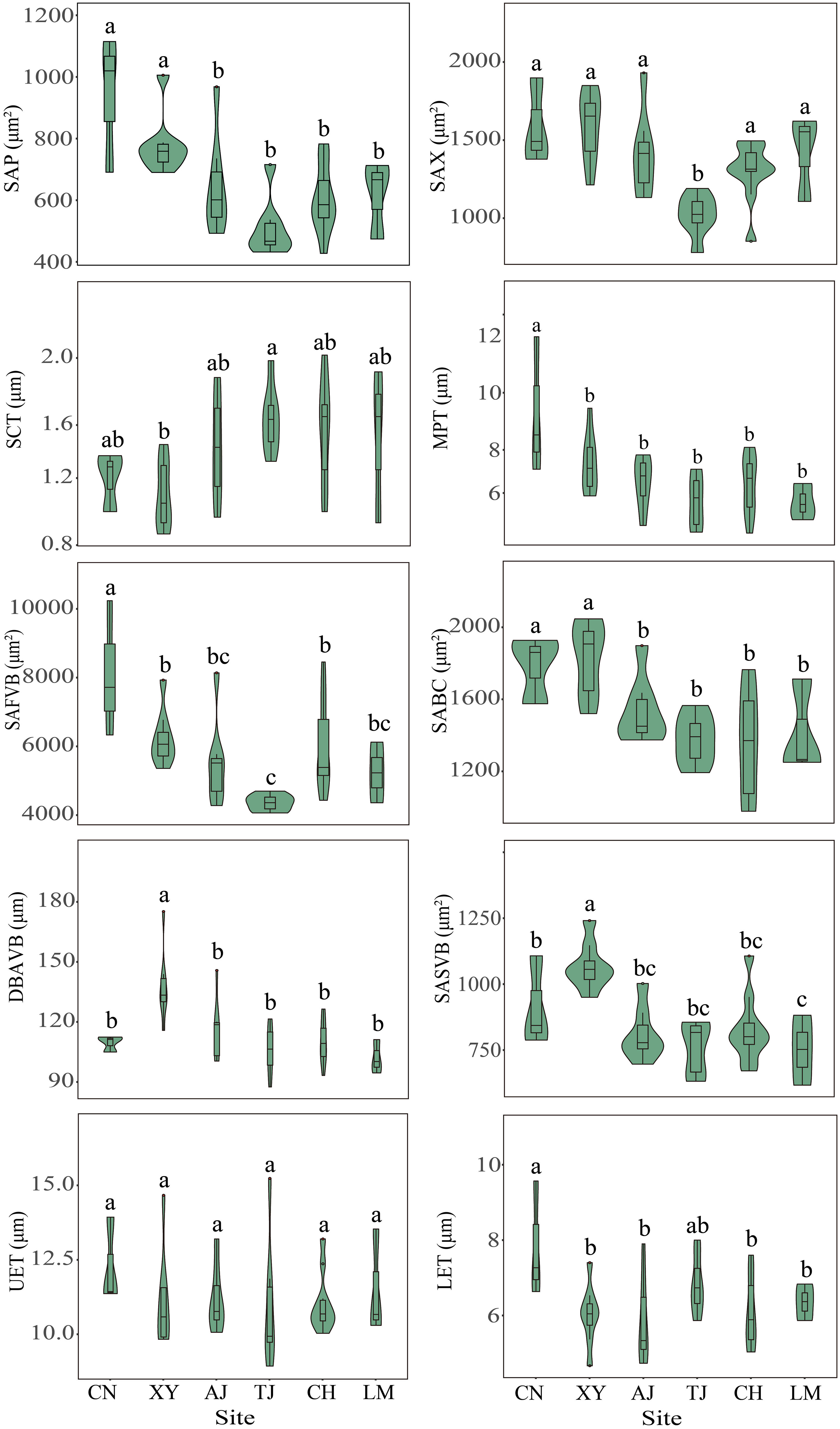 Frontiers | Leaf stomatal traits rather than anatomical traits regulate ...