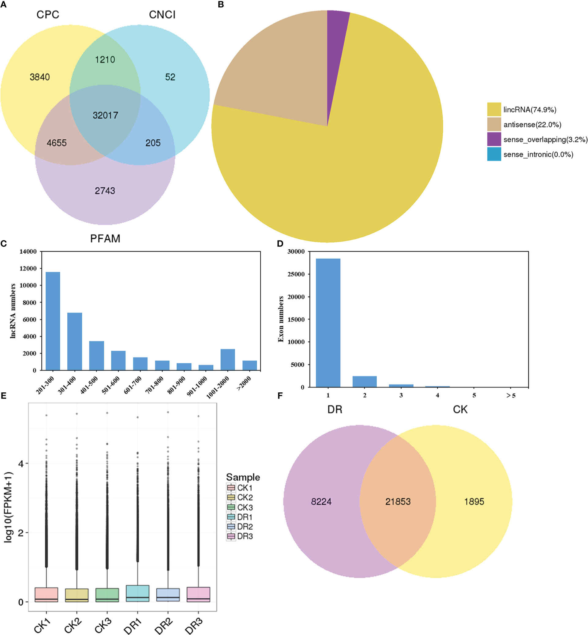 frontiers-genome-wide-analysis-of-long-non-coding-rnas-in-sugar-beet