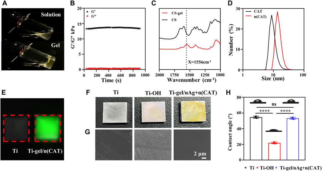 Antibacterial and hydroxyapatite-forming coating for biomedical implants  based on polypeptide-functionalized titania nanospikes - Biomaterials  Science (RSC Publishing) DOI:10.1039/C9BM01396B