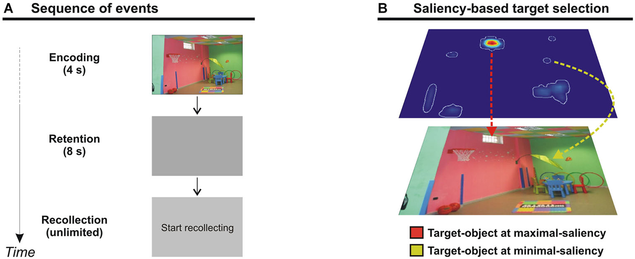 Frontiers Perceptual Salience Affects The Contents Of Working Memory 