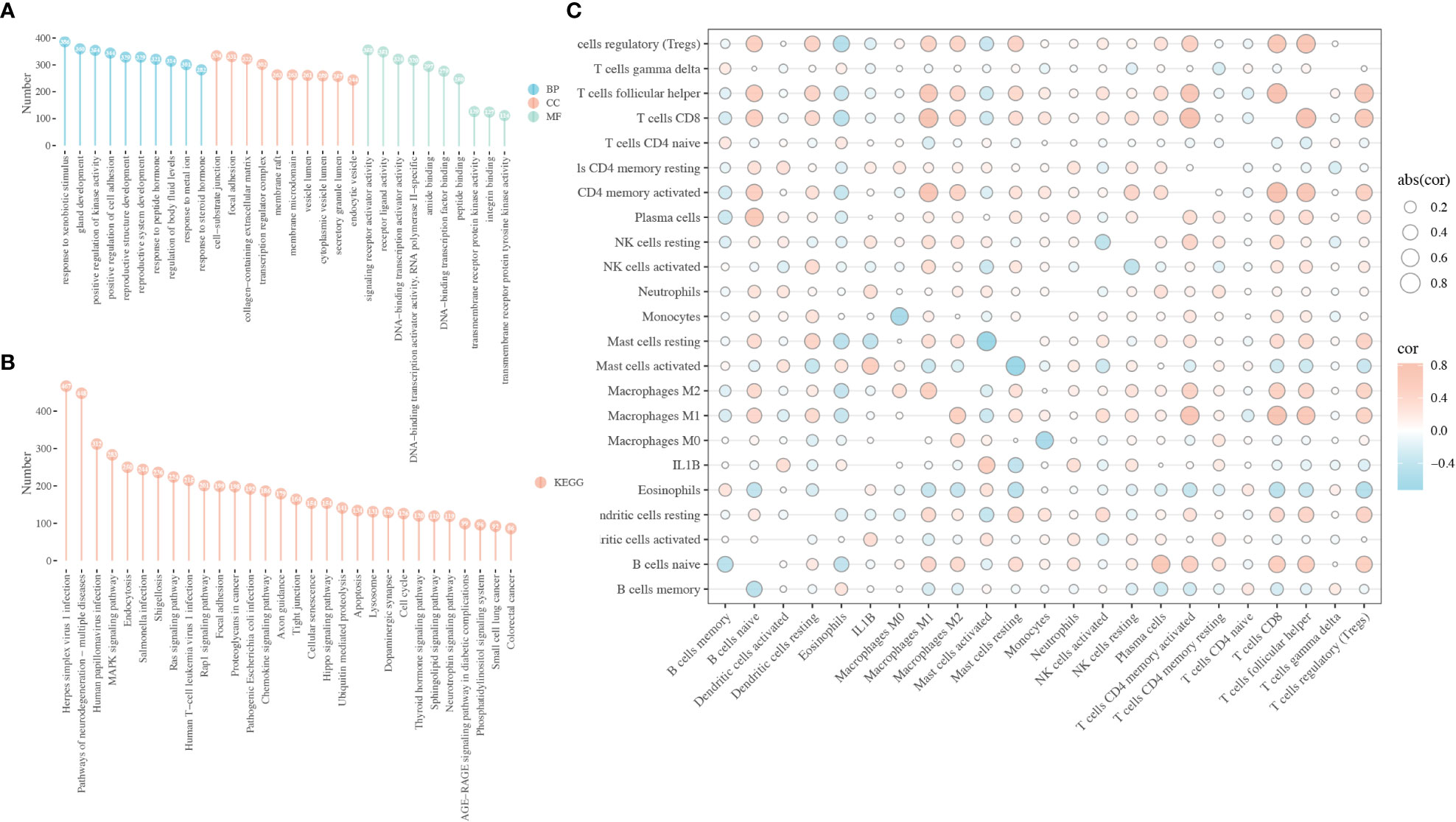 Frontiers Development And Validation Of A Cect Based Radiomics Model For Predicting Il B