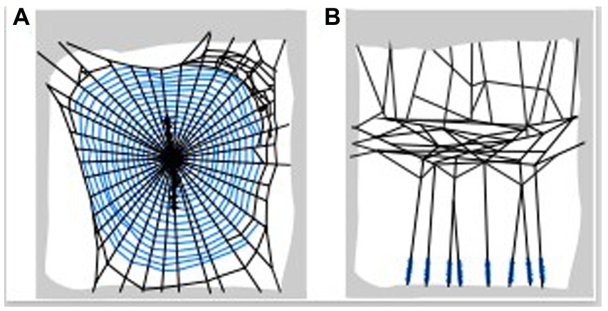 Pressure-Sensitive Adhesive Characteristics and their Impact on Foam  Anchorage, 2018-05-01, ASI Magazine