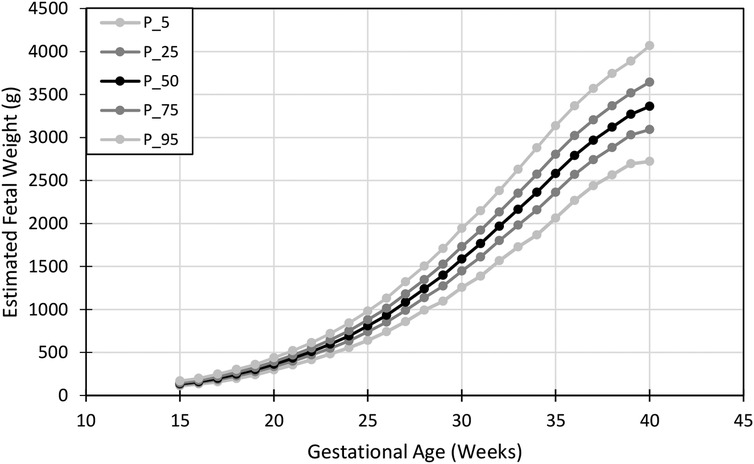 fetal growth chart percentile