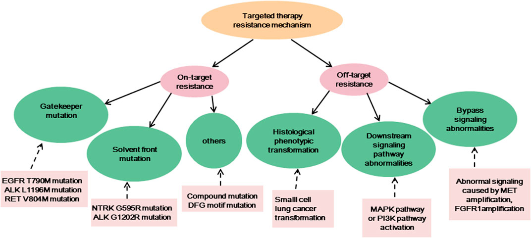 Frontiers  Recent progress in targeted therapy for non-small cell lung  cancer