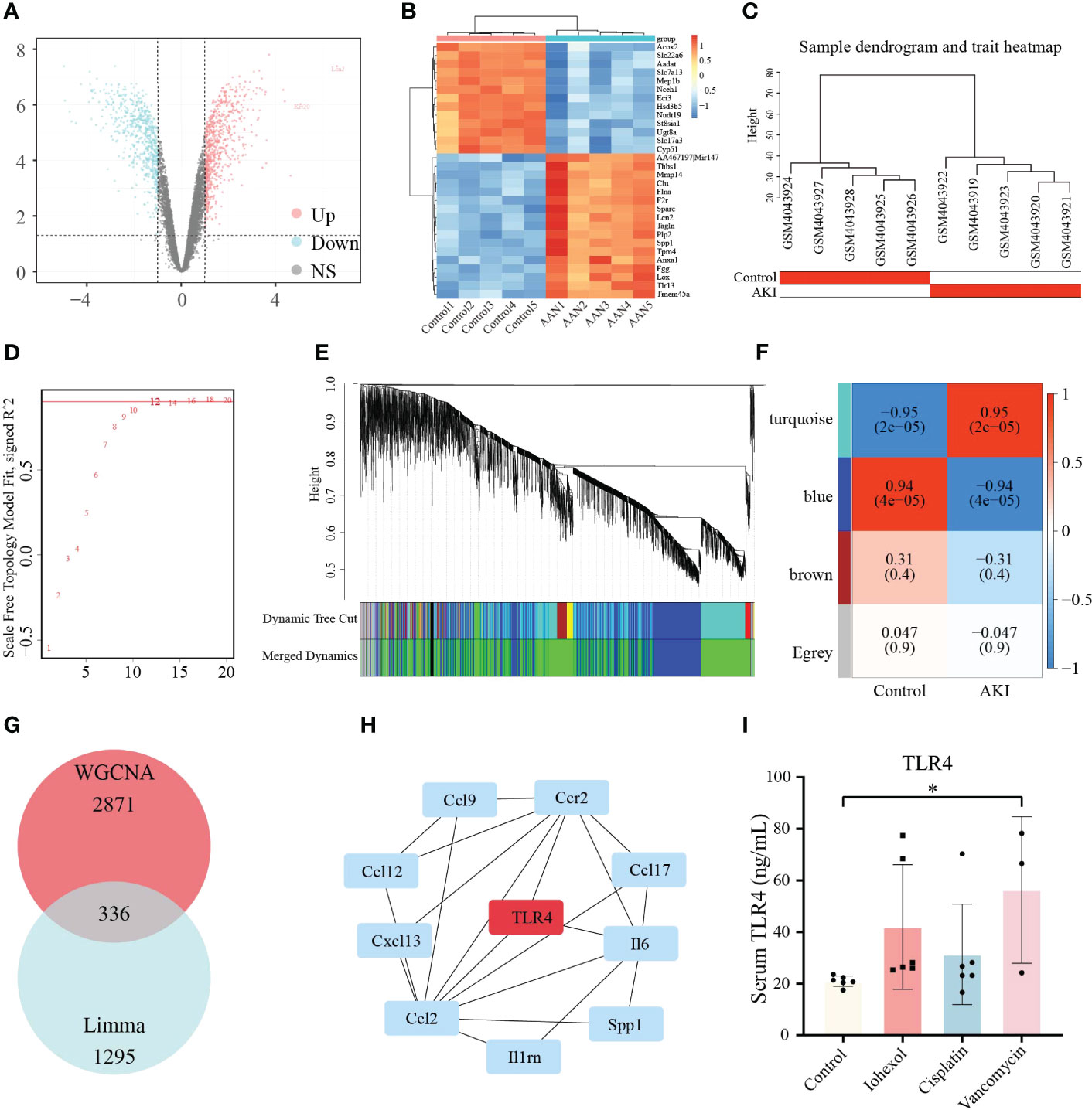 Frontiers | Identification And Validation Of Hub Genes In Drug Induced ...