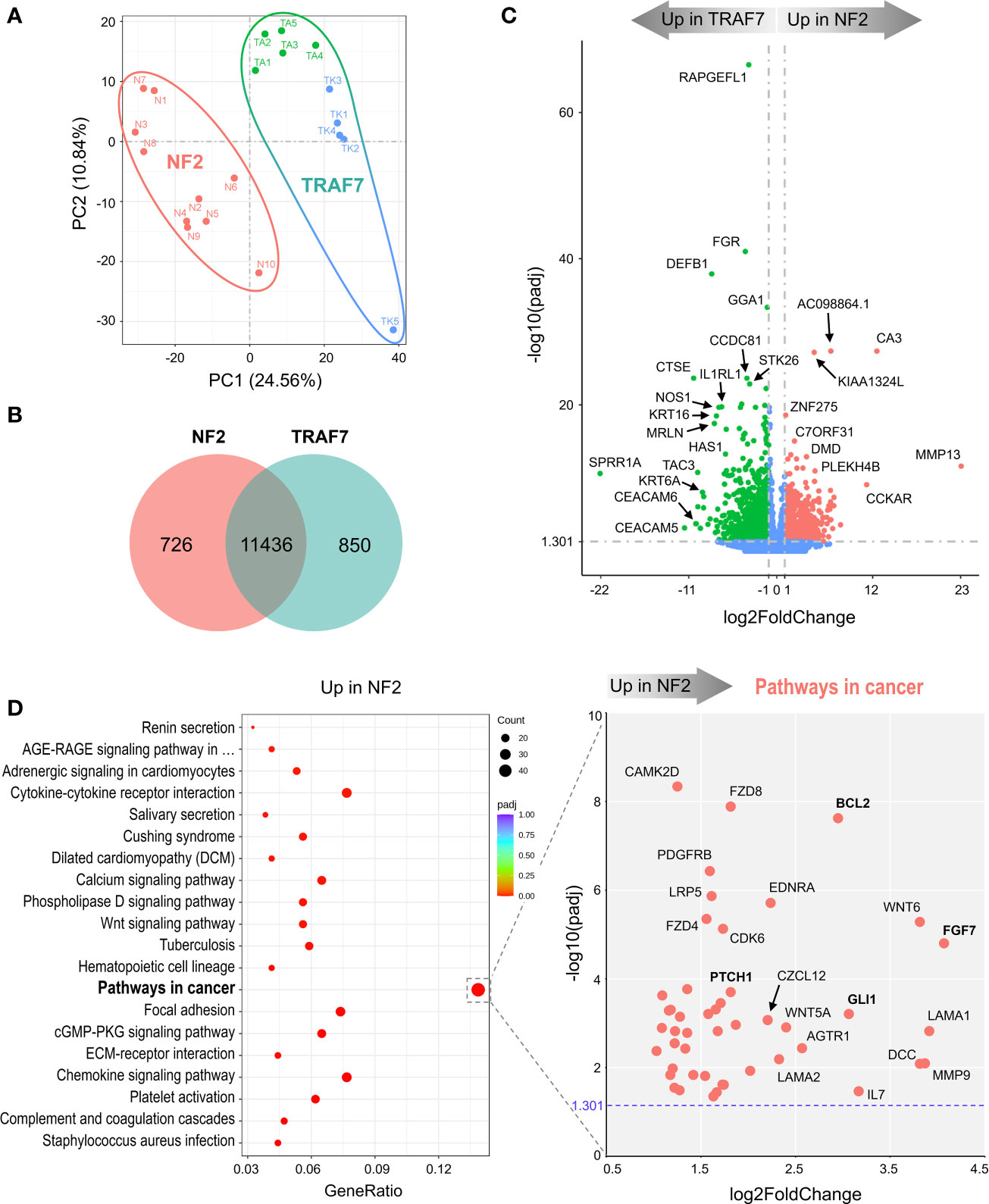 Frontiers | Specific gene expression signatures of low grade