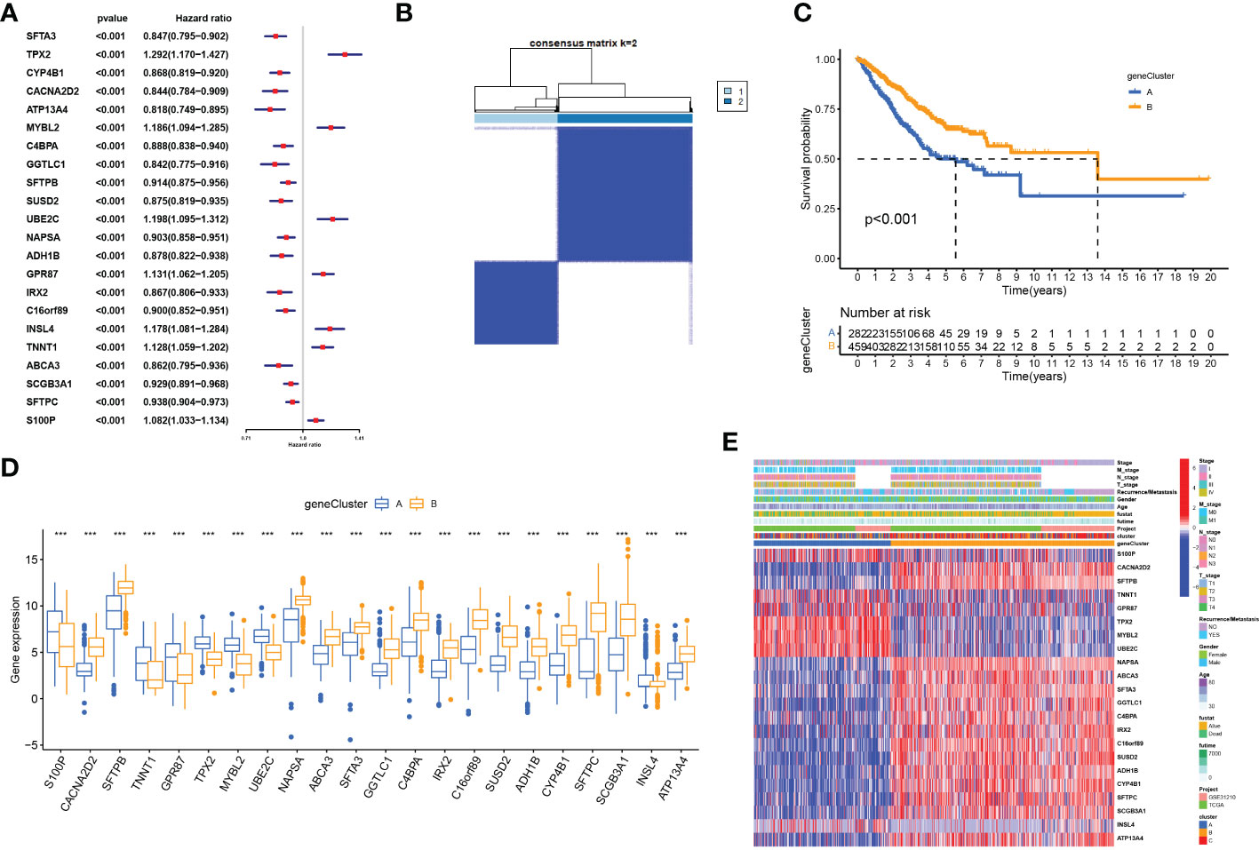 Frontiers | Cuproptosis-related Signature Predicts Prognosis ...