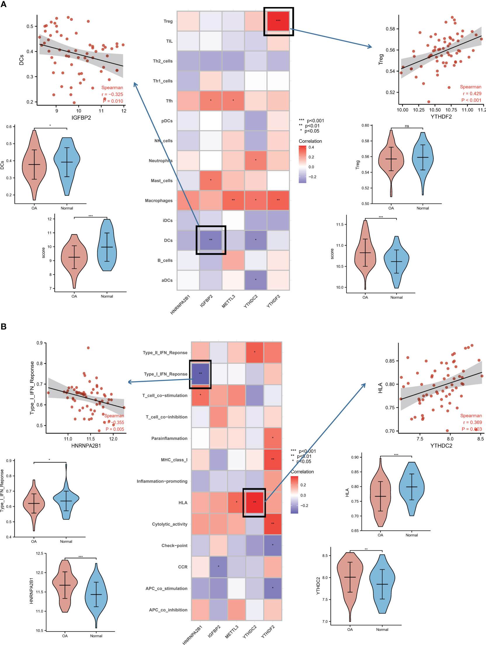 Frontiers | Comprehensive Analysis Of M6A RNA Methylation Modification ...