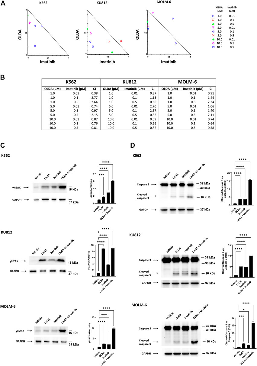 Frontiers  Calcium influx, oxidative stress, and apoptosis induced by  TRPV1 in chronic myeloid leukemia cells: Synergistic effects with imatinib