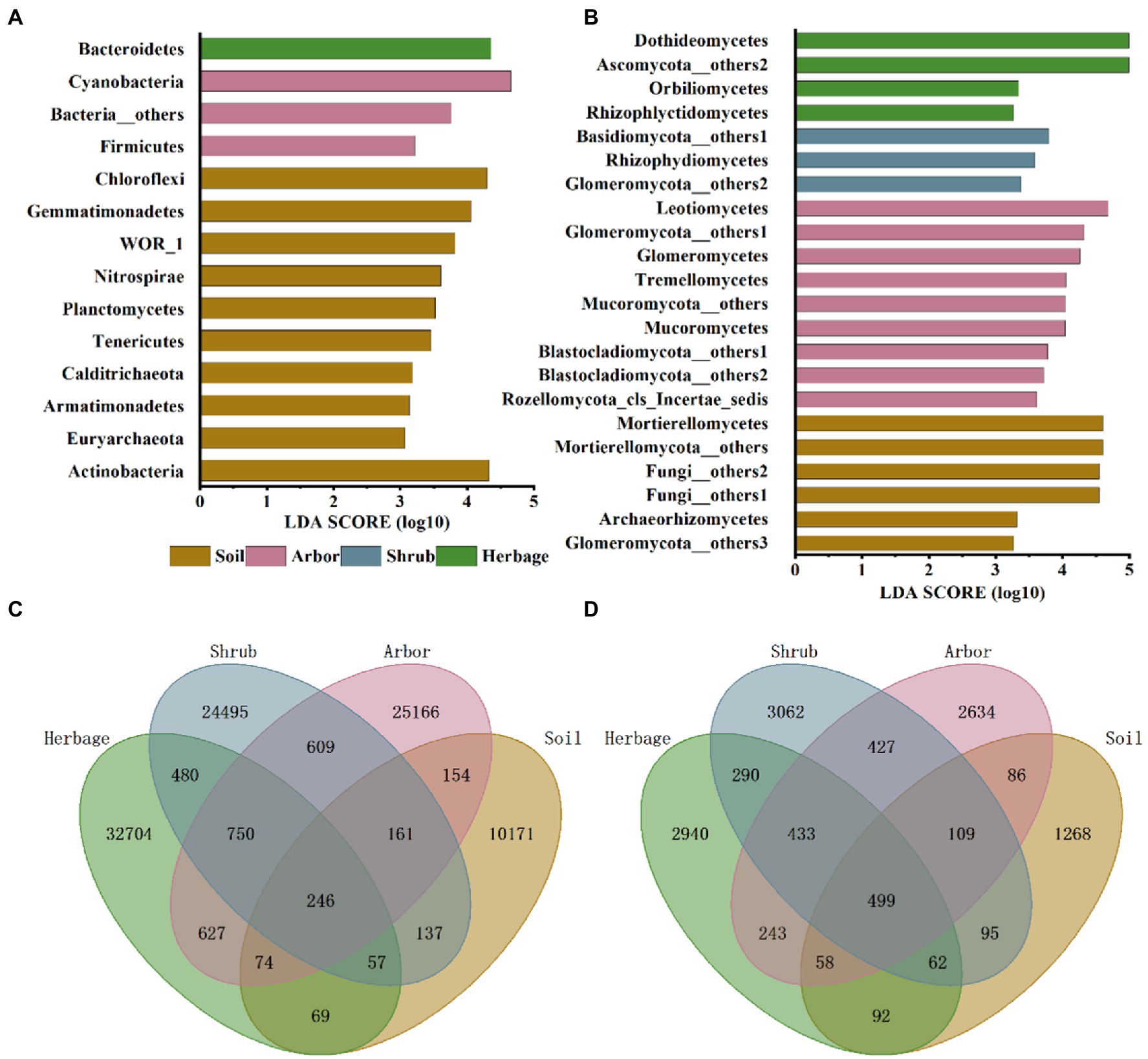 Frontiers | Rhizosphere microbial community assembly and 