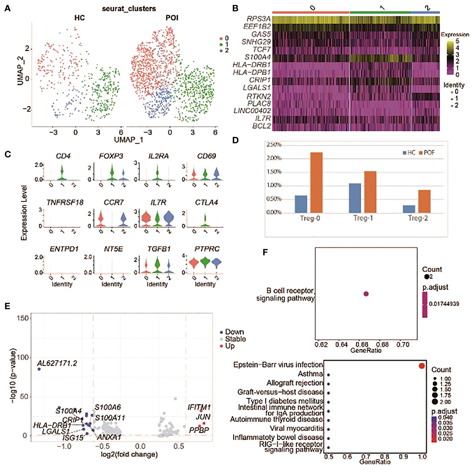 Frontiers  Identification of MARK2, CCDC71, GATA2, and KLRC3 as