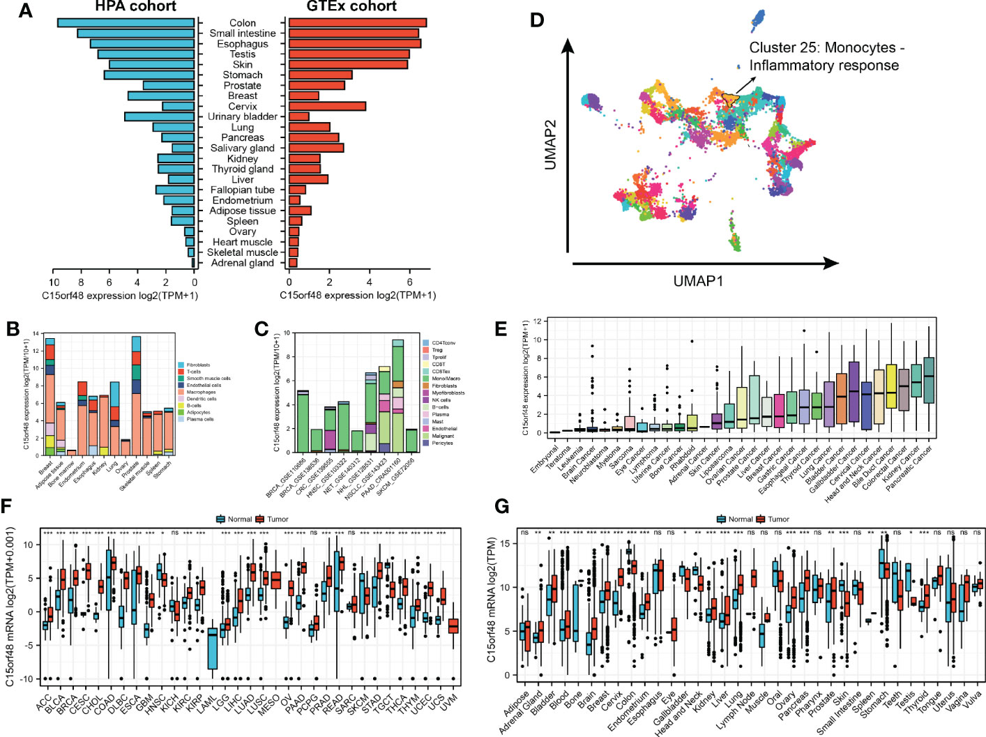 Frontiers | The Prognostic And Immune Significance Of C15orf48 In Pan ...