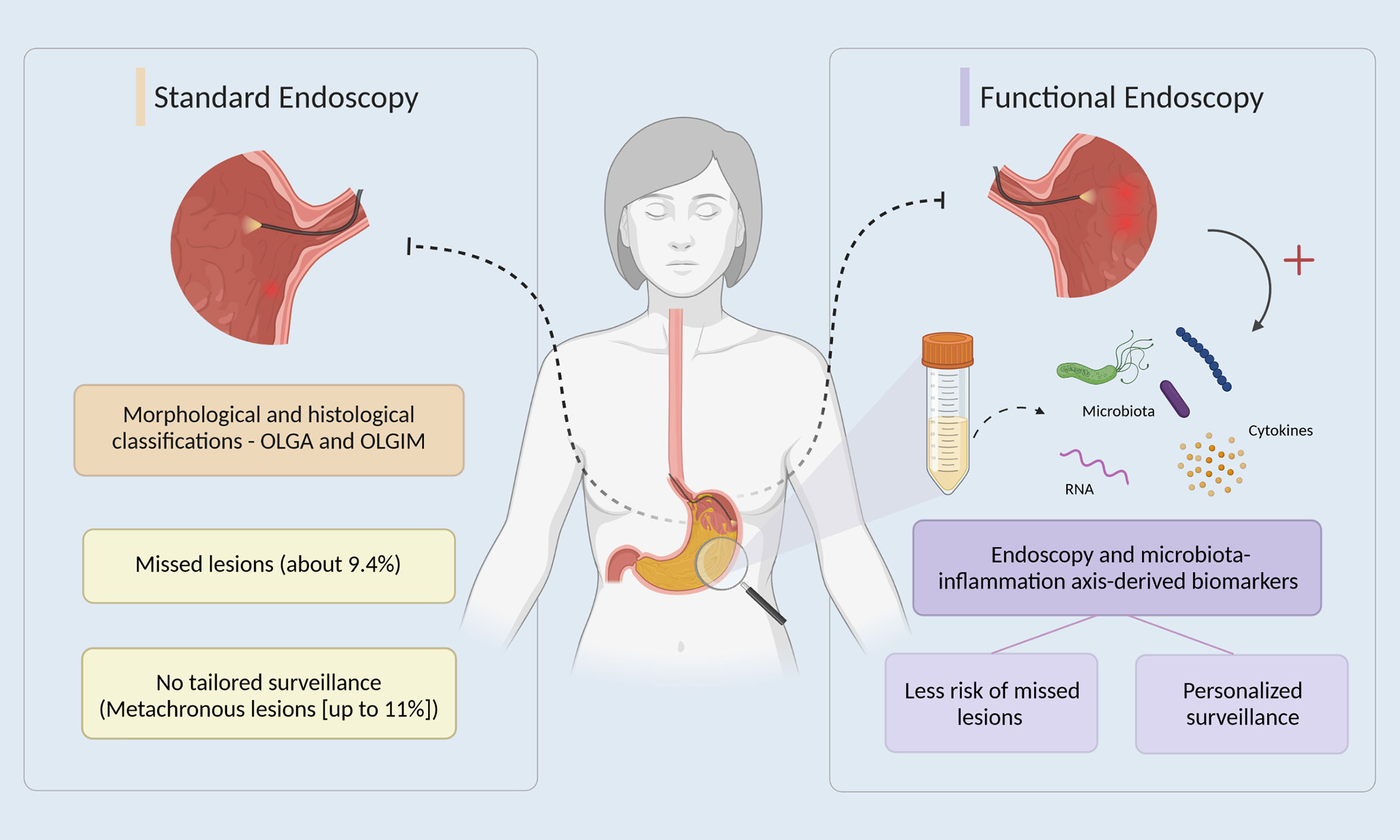 Frontiers | Linking dysbiosis to precancerous stomach through 