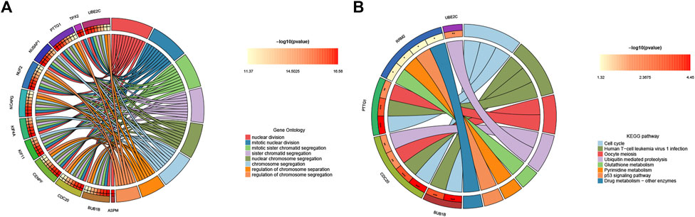 Frontiers | Exploration and verification of COVID-19-related hub 