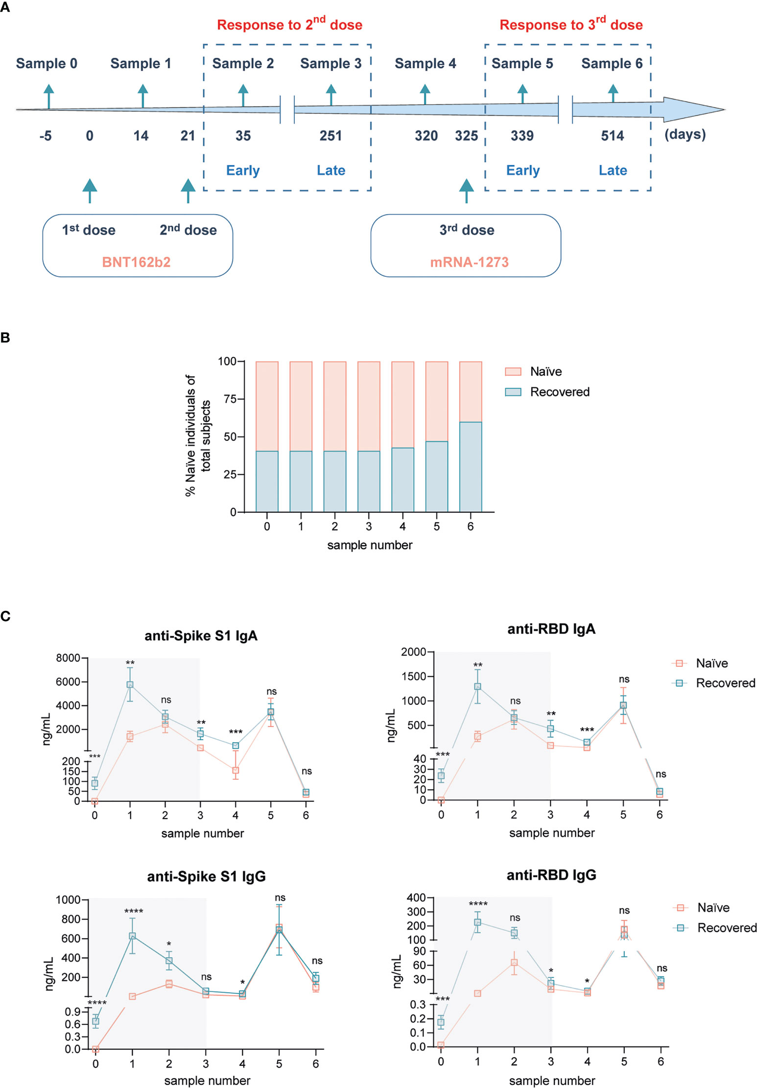 Frontiers | MRNA-1273 Boost After BNT162b2 Vaccination Generates ...