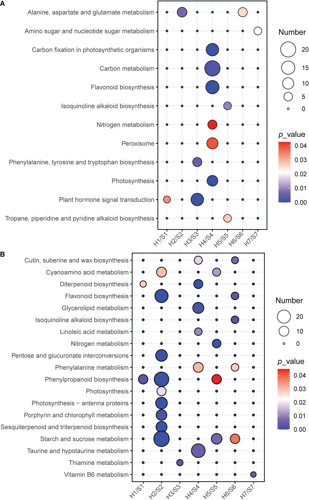 Frontiers | Transcriptomic analysis reveals mechanisms for the 