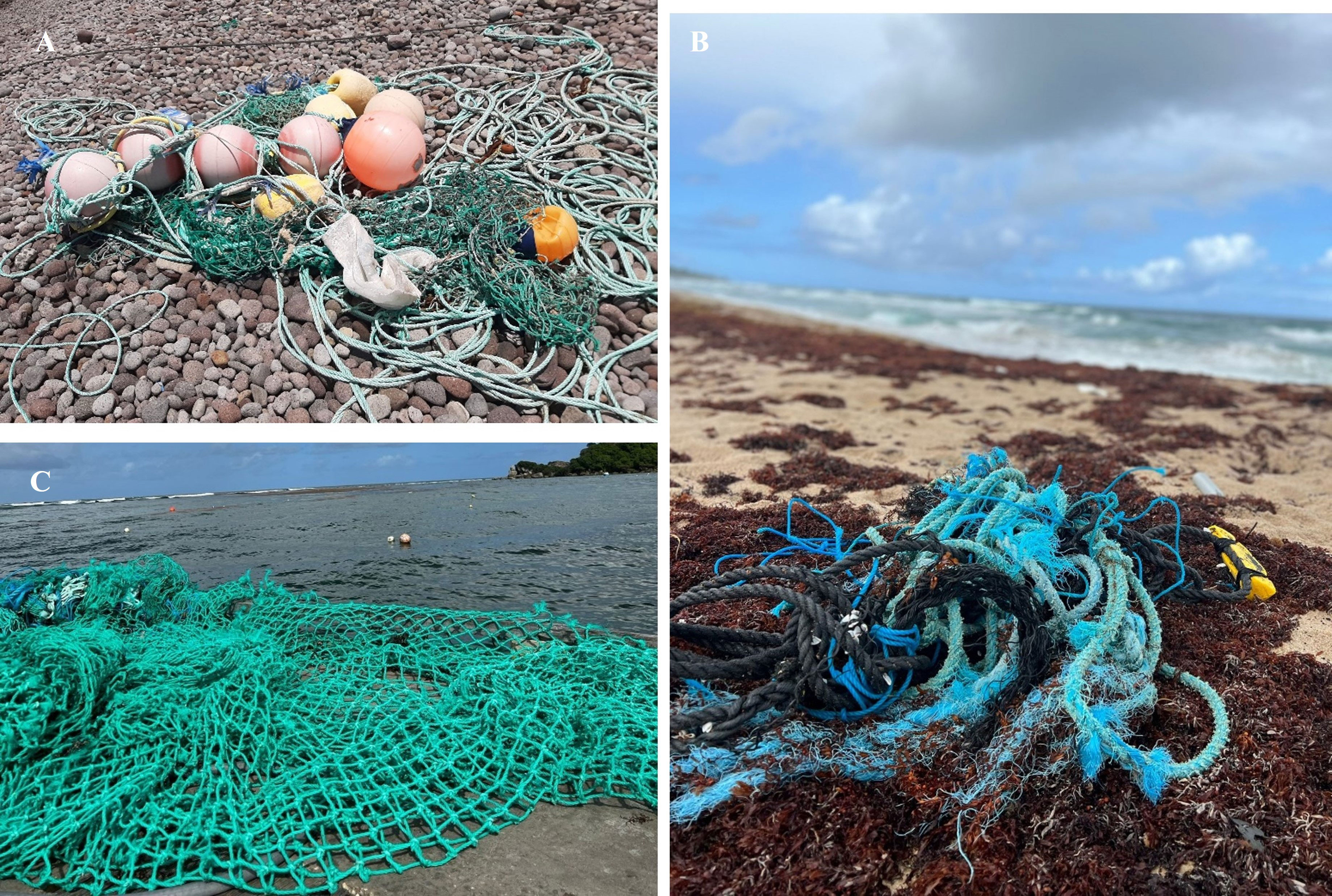 Recovered lost synthetic fishing nets and ropes from the ground of