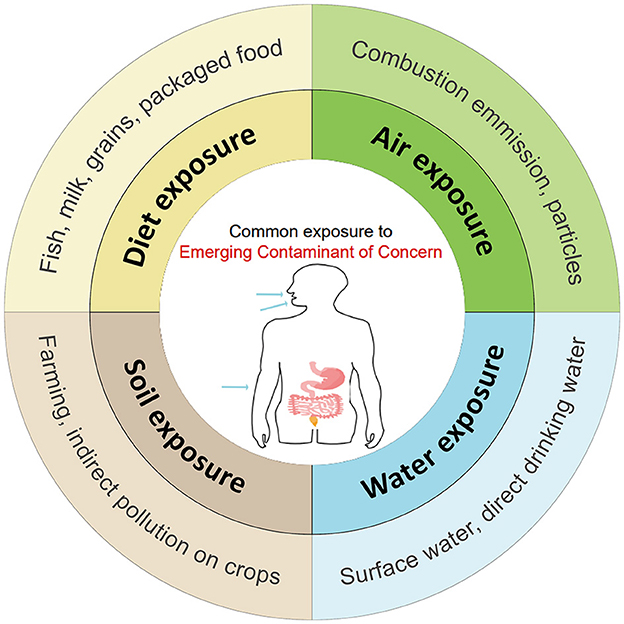 Frontiers  Adverse health effects of emerging contaminants on inflammatory  bowel disease
