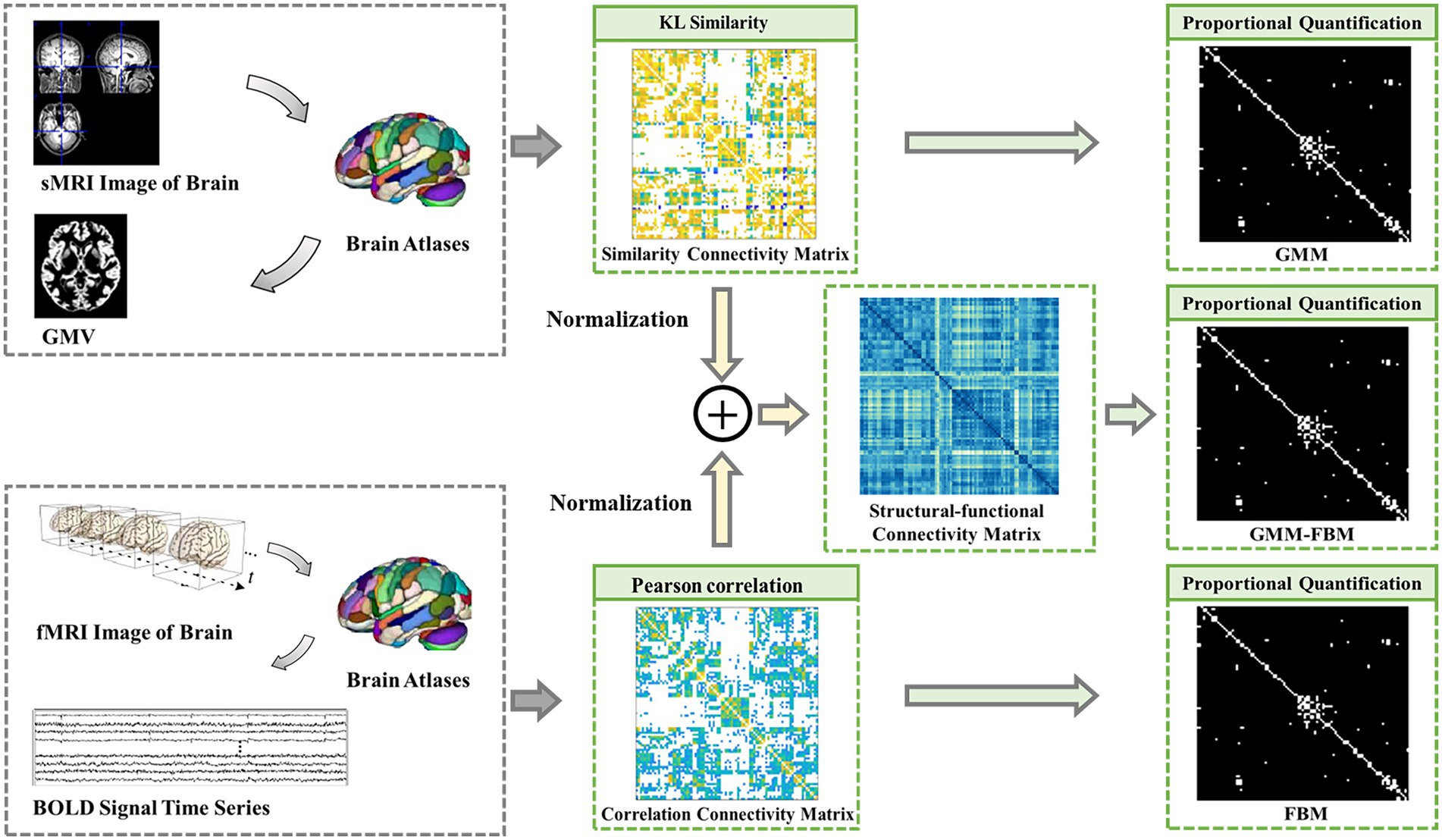 Frontiers Discriminative Analysis Of Schizophrenia Patients Using Graph Convolutional Networks 1446