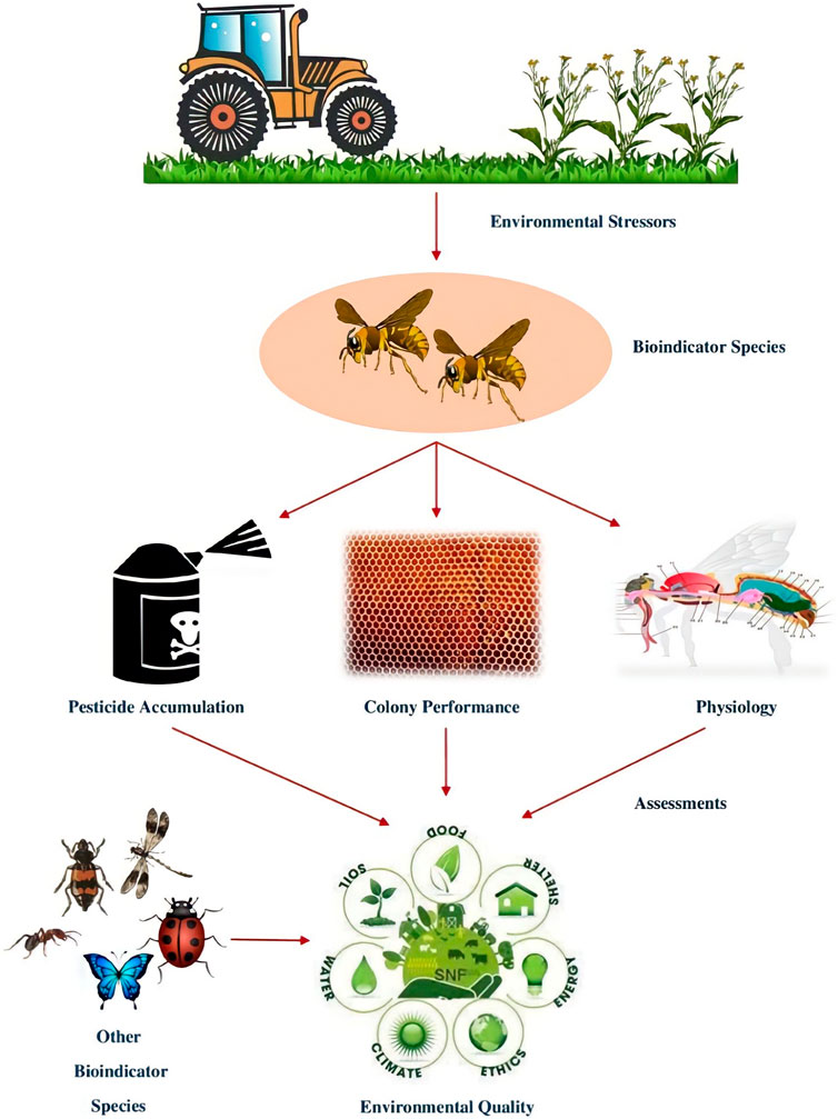 Using airborne DNA to monitor insect biodiversity - Tech Explorist