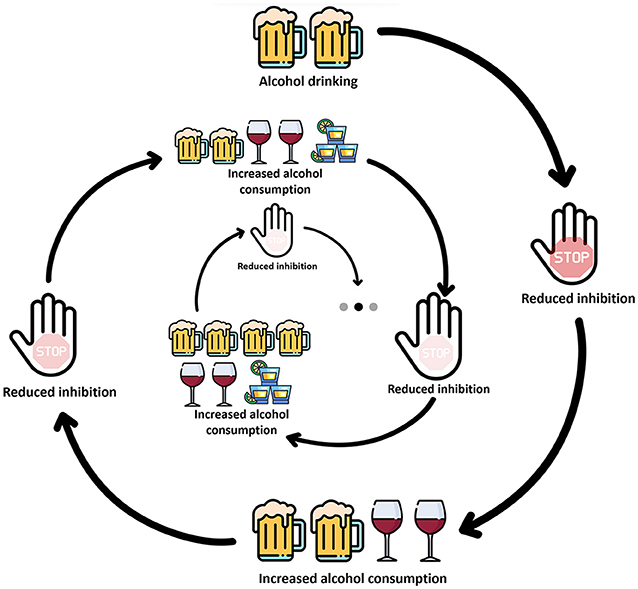 Figure 3 - Excessive alcohol use may lead to a “vicious cycle,” in which the effects of BD on inhibition encourage continued and increased alcohol intake, which in turn leads to a further decrease in inhibition.