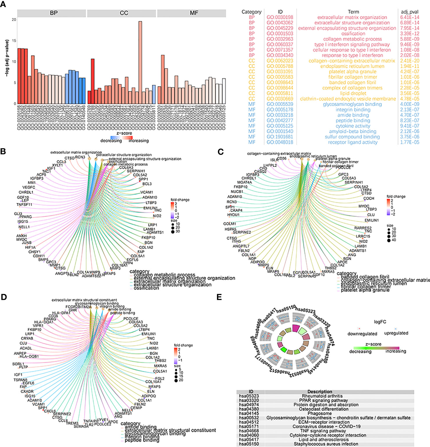 Frontiers | A comprehensive analysis of biomarkers associated with ...