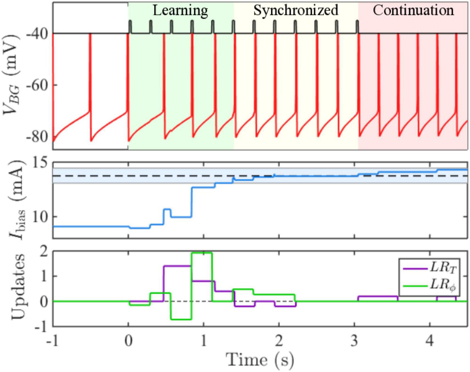 Grand average of event-related potentials recorded in the NMM, NM