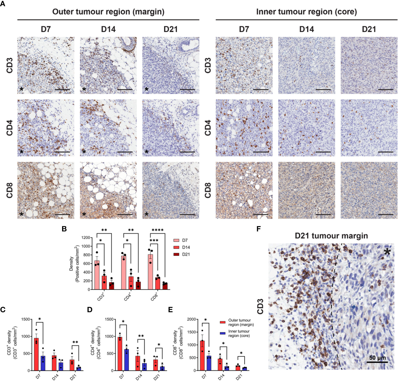 Frontiers | Late-stage MC38 tumours recapitulate features of human ...