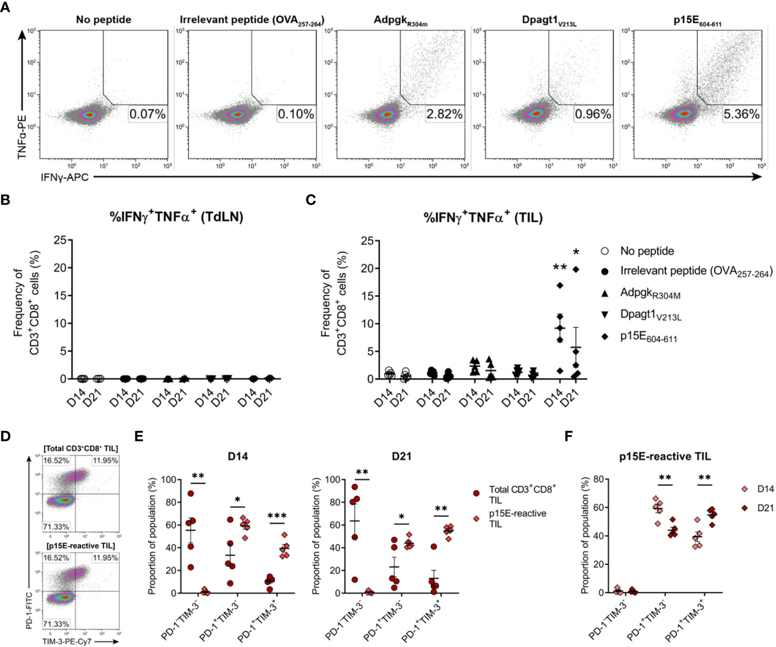 Frontiers | Late-stage MC38 tumours recapitulate features of human ...