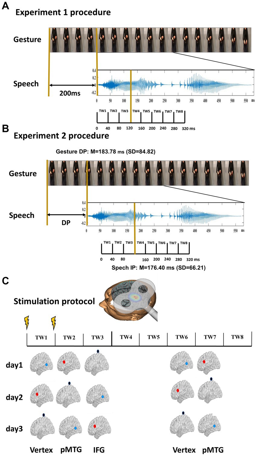 TMS Reveals Dynamic Interaction between Inferior Frontal Gyrus and  Posterior Middle Temporal Gyrus in Gesture-Speech Semantic Integration